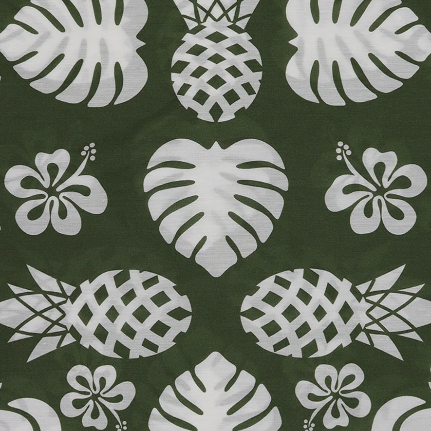 Cotton And Silk Pineapple Print Scarf in Green - Image 4
