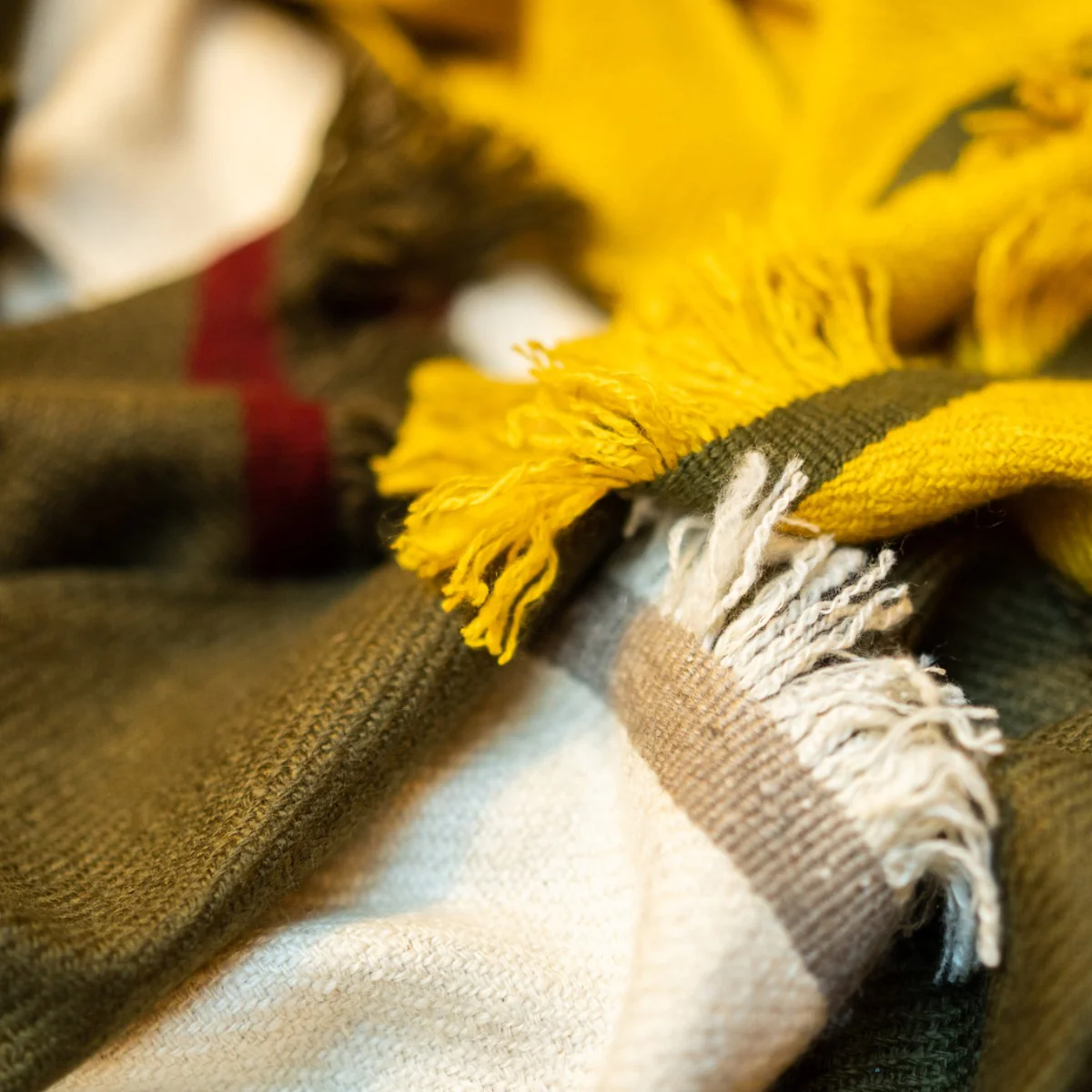 Heavy Twill Hand Woven Cashmere Shawl In Gold - Image 3