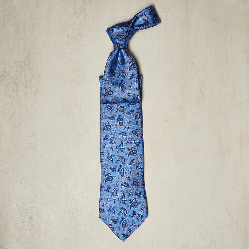 Paisley Printed Tie In Blue