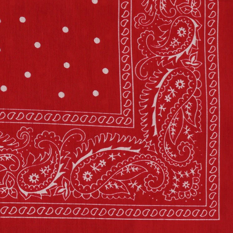 Paisley with Spots Neckerchief in Red - Image 3