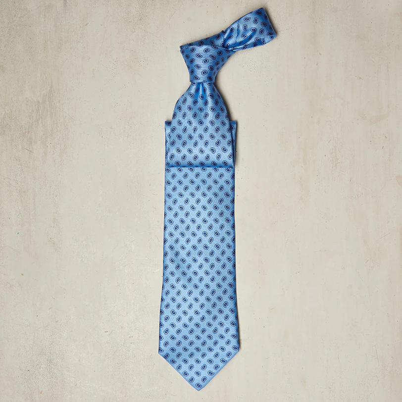 Small Paisley Printed Tie in Sky