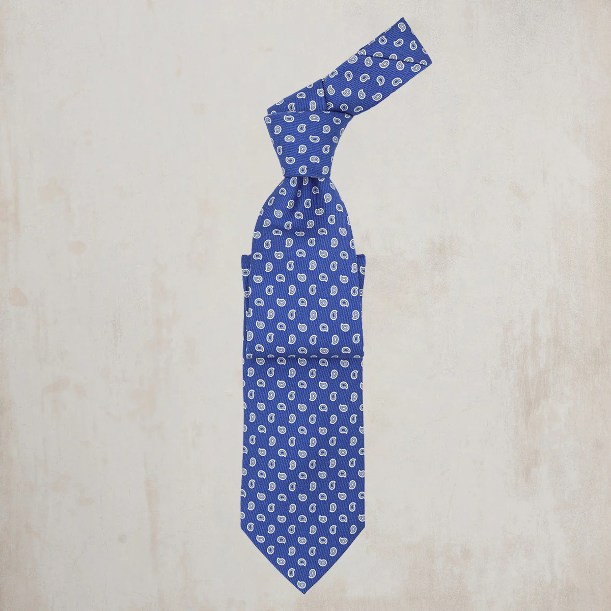 Twill Paisley Tie in Indigo