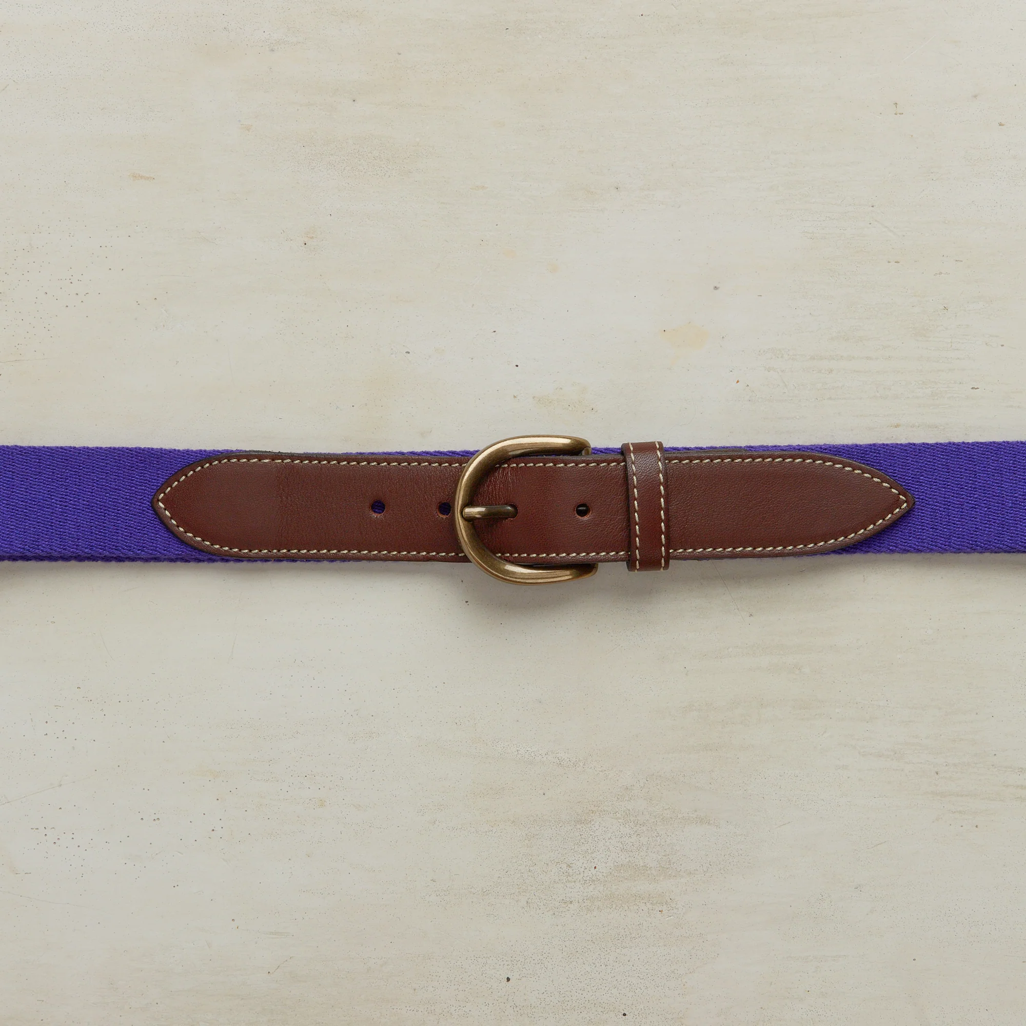 Webbing Belt In Purple - Image 2
